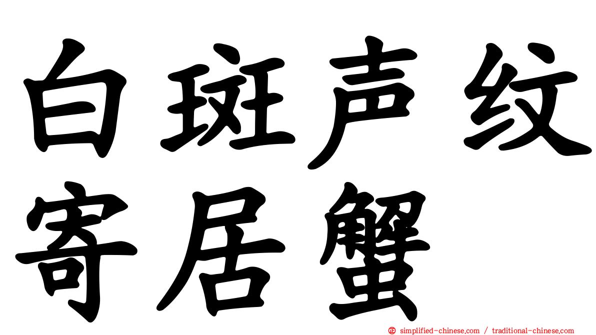 白斑声纹寄居蟹