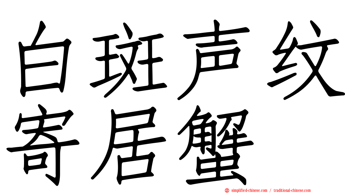 白斑声纹寄居蟹