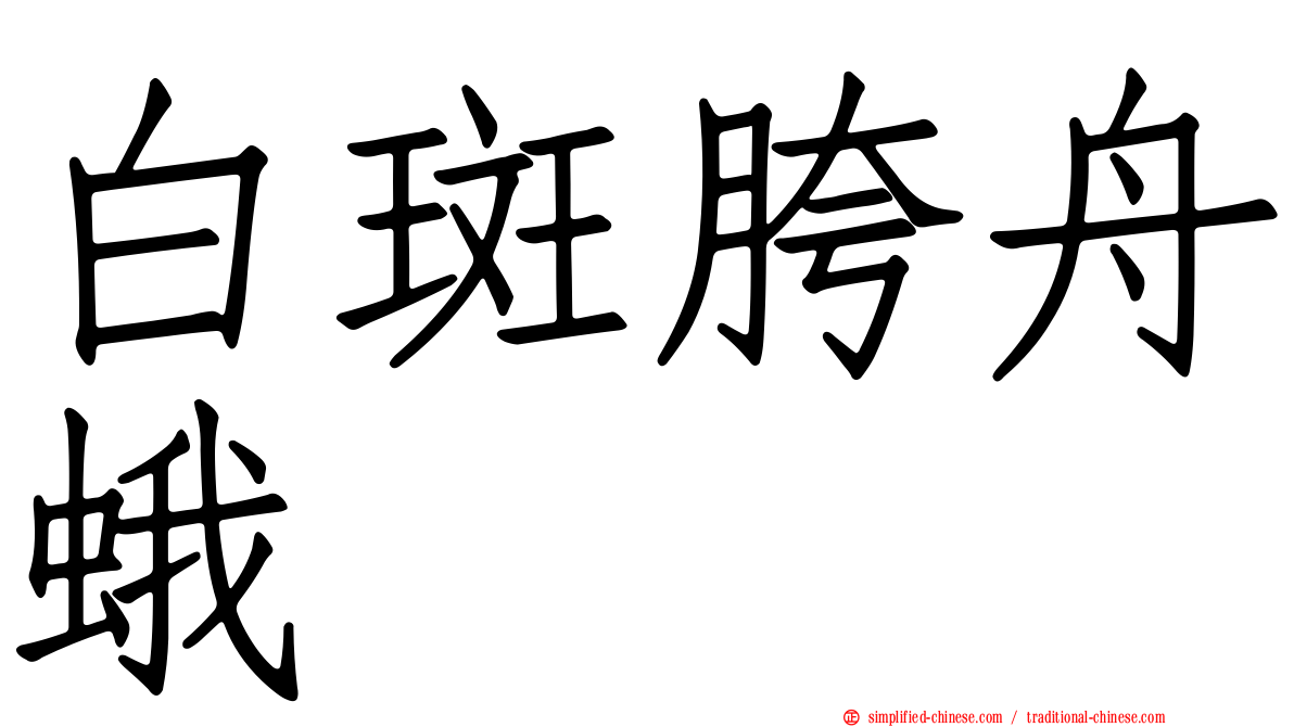 白斑胯舟蛾