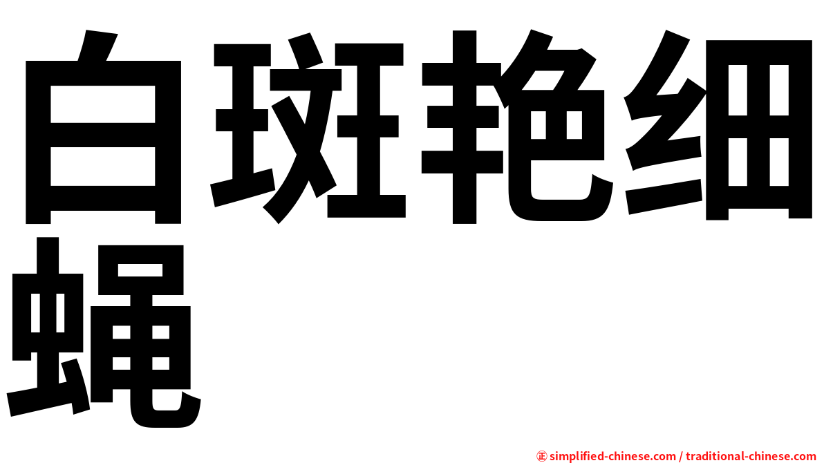 白斑艳细蝇