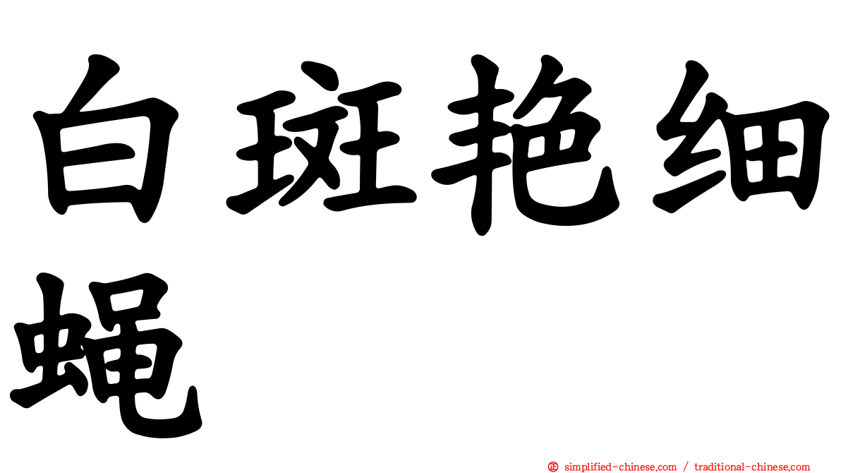 白斑艳细蝇