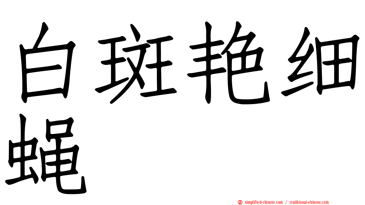 白斑艳细蝇