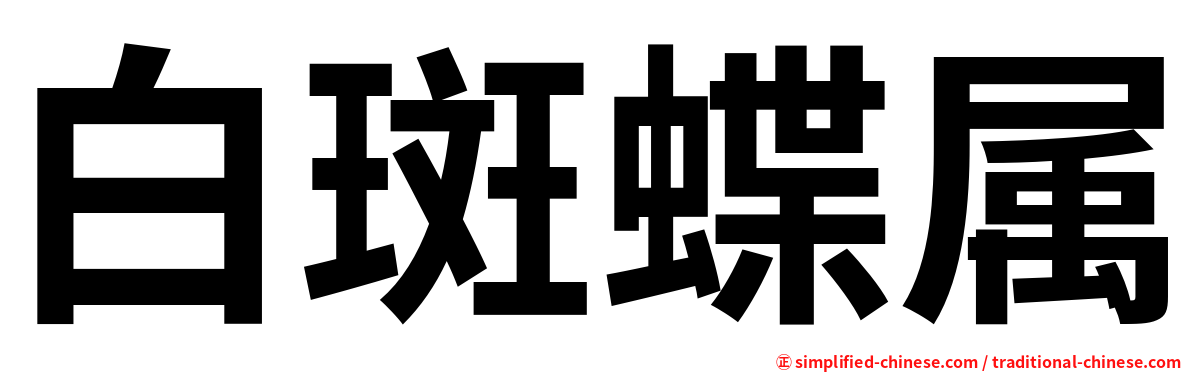 白斑蝶属