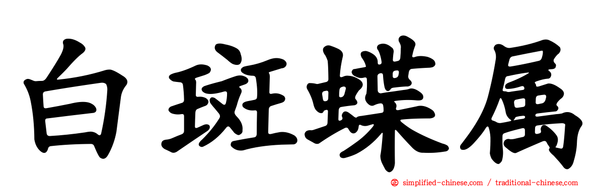 白斑蝶属