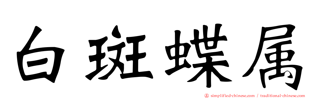 白斑蝶属