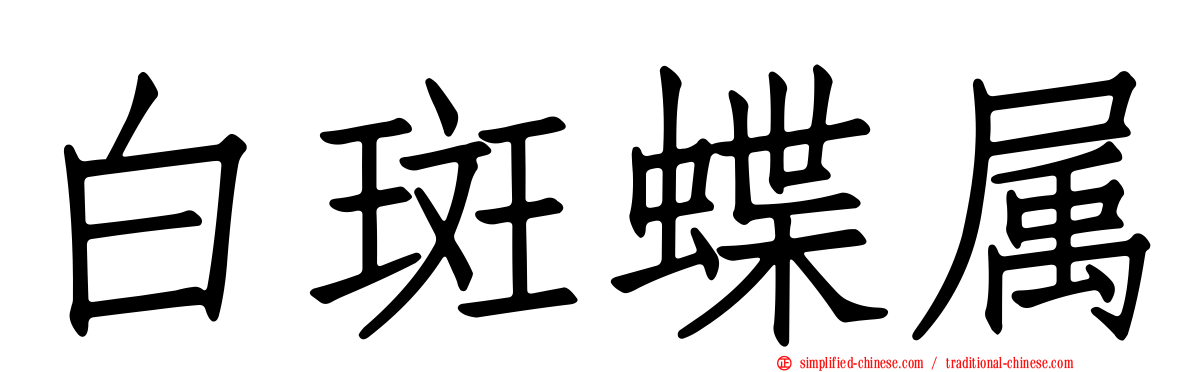 白斑蝶属