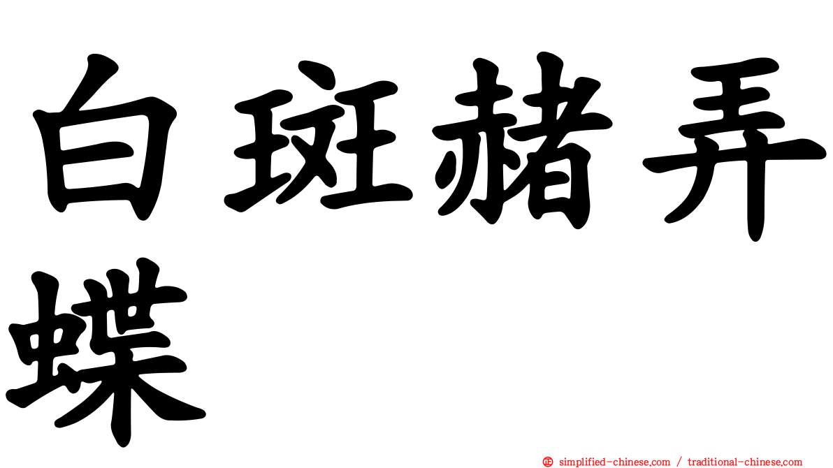 白斑赭弄蝶