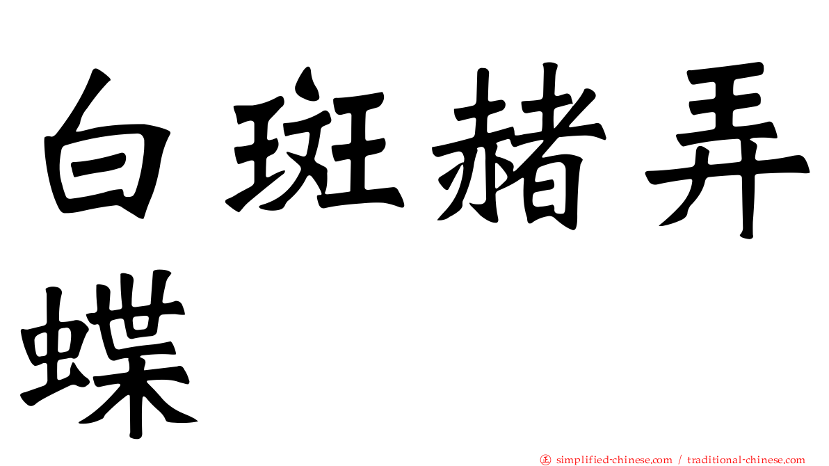 白斑赭弄蝶