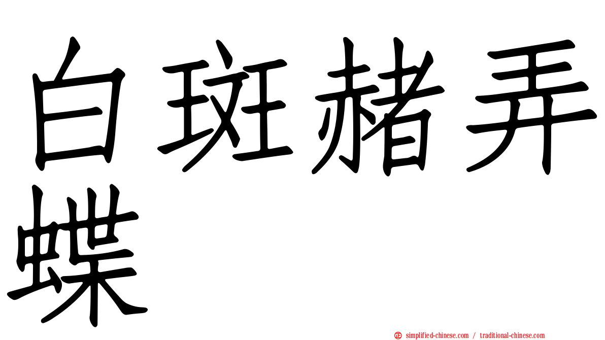 白斑赭弄蝶