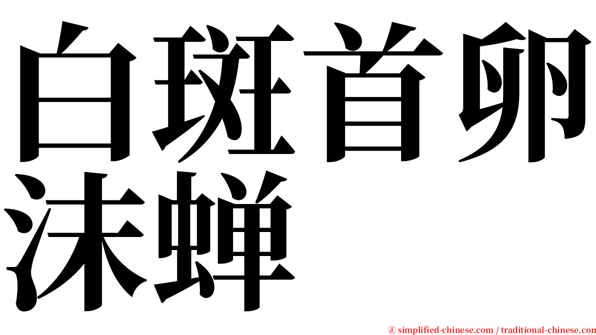 白斑首卵沫蝉 serif font