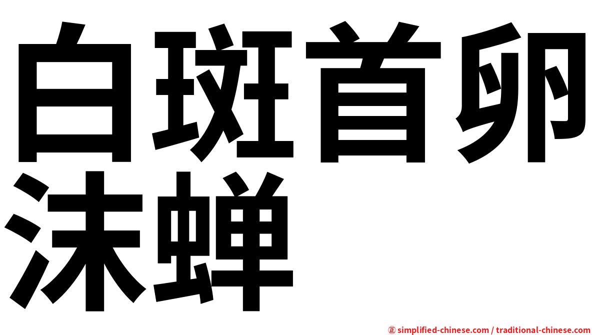 白斑首卵沫蝉
