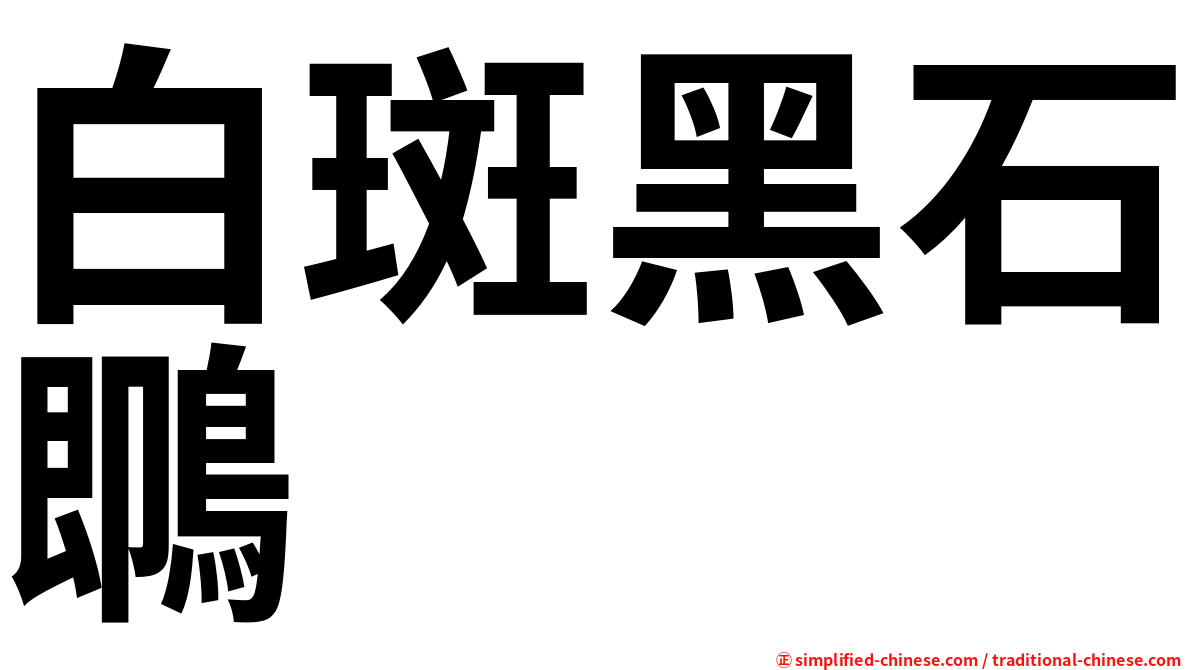 白斑黑石䳭