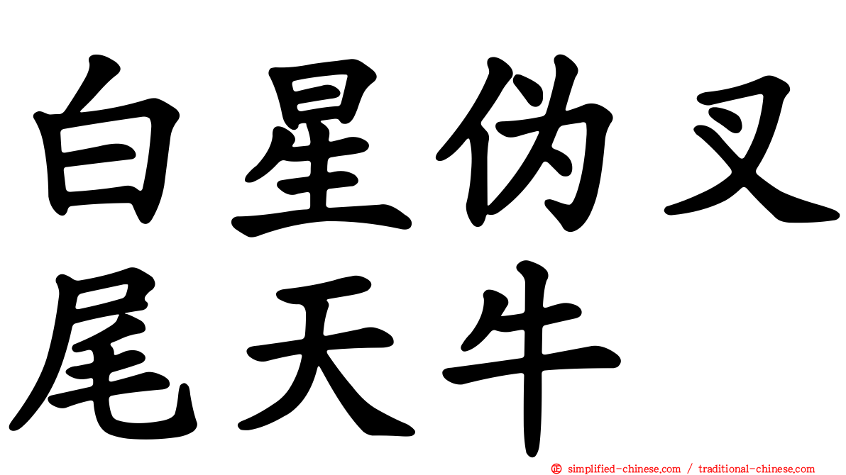 白星伪叉尾天牛