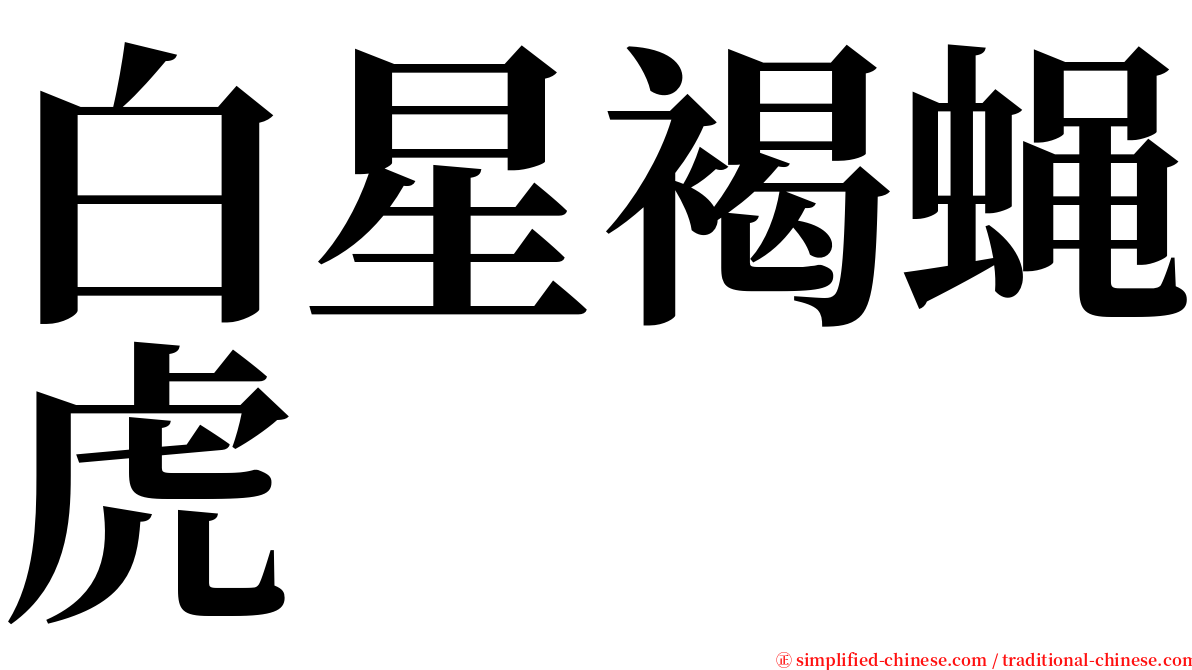 白星褐蝇虎 serif font