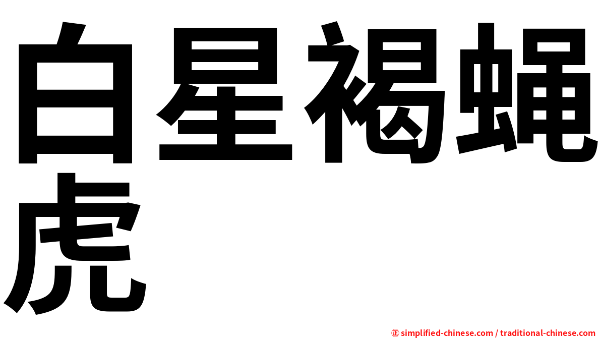 白星褐蝇虎