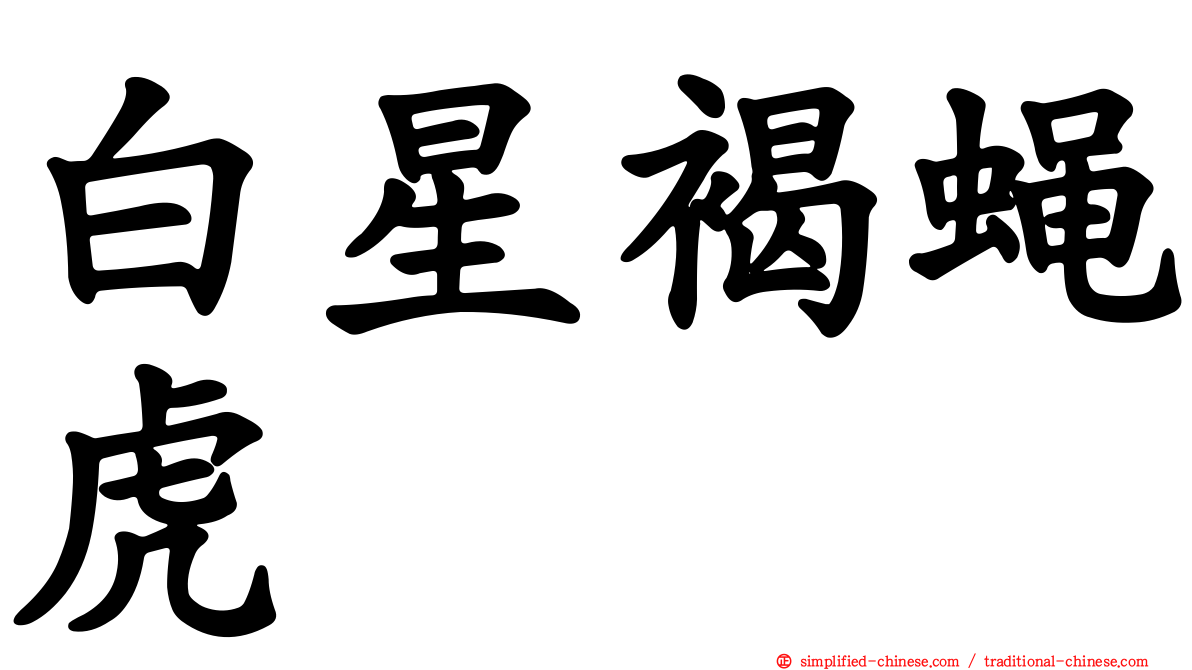 白星褐蝇虎