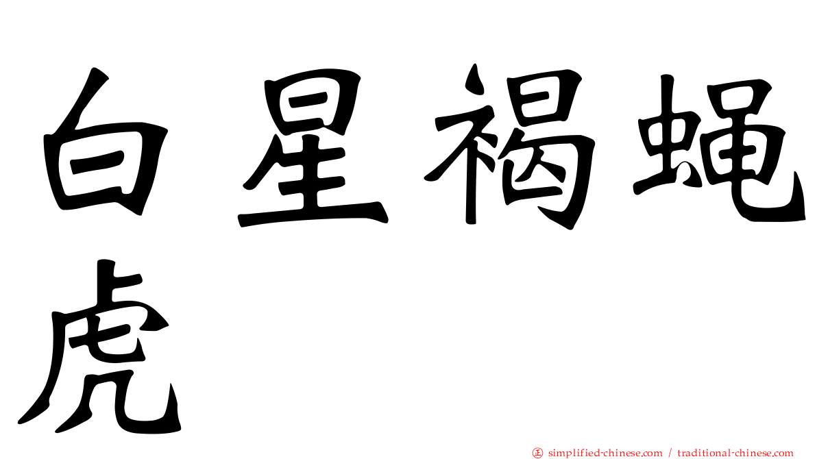 白星褐蝇虎