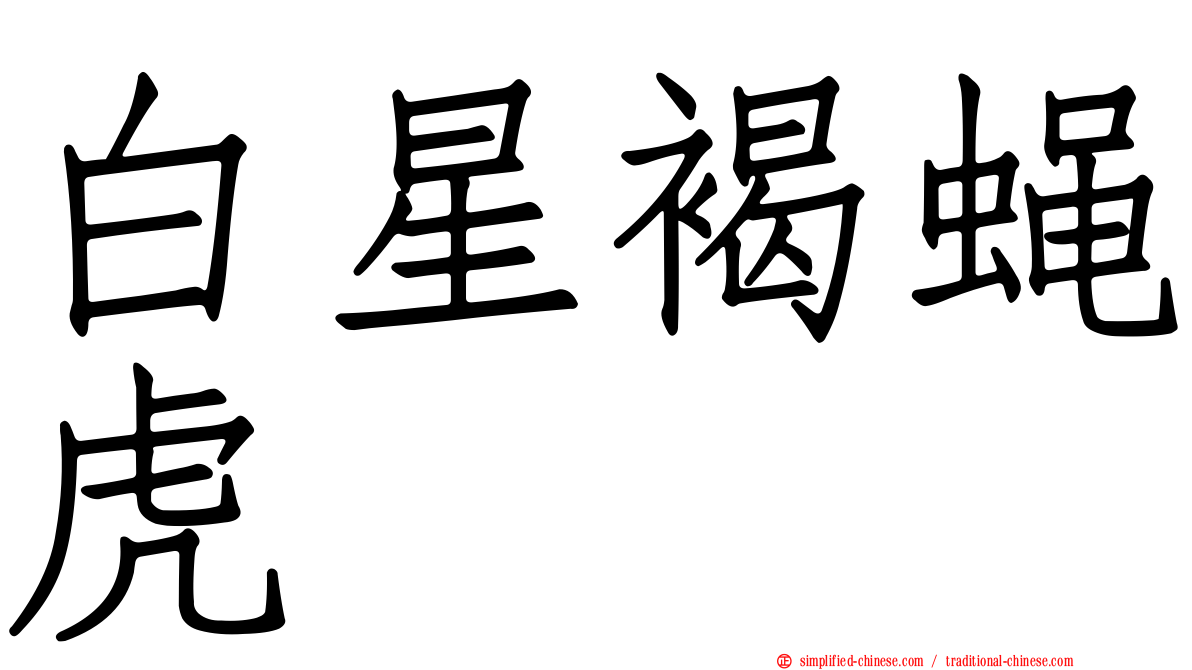 白星褐蝇虎