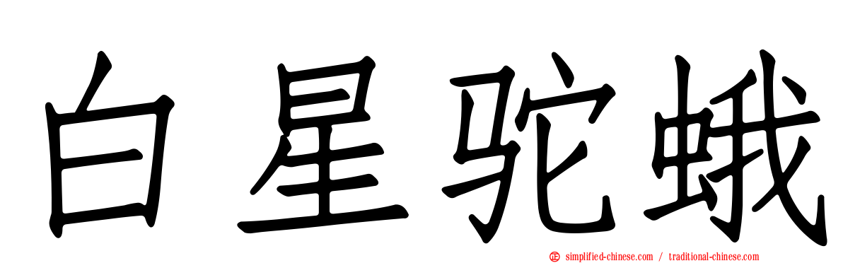 白星驼蛾