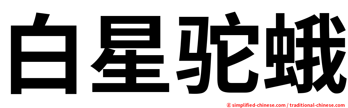 白星驼蛾