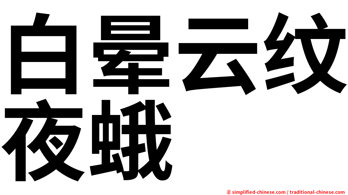 白晕云纹夜蛾