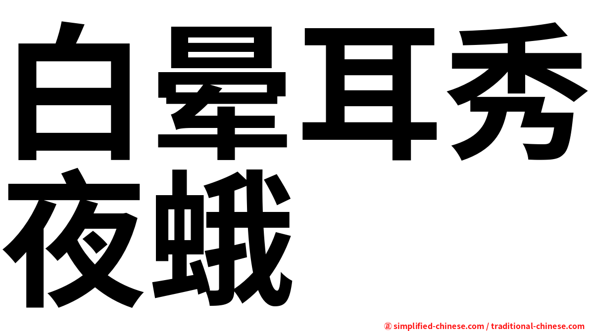 白晕耳秀夜蛾