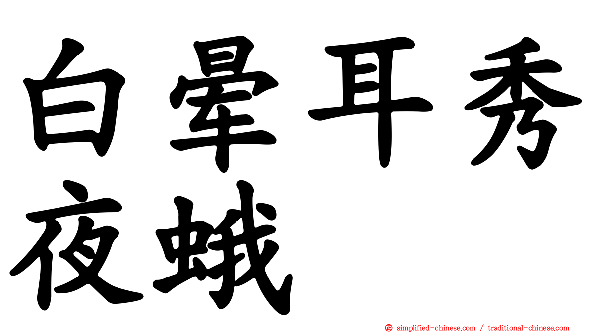 白晕耳秀夜蛾