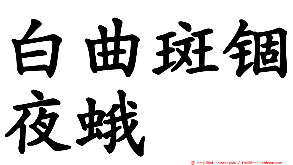 白曲斑锢夜蛾