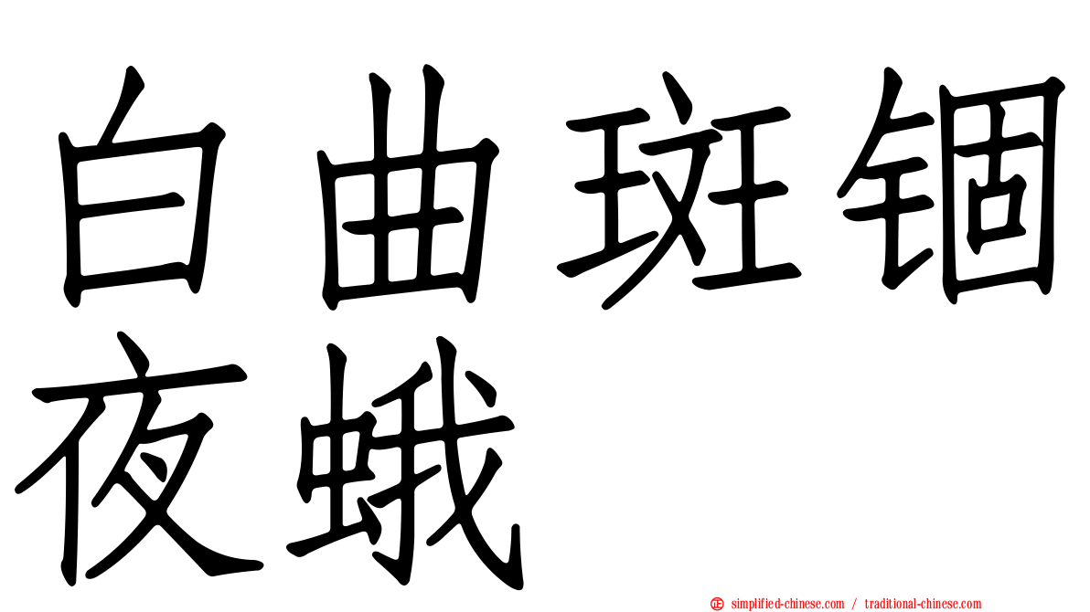 白曲斑锢夜蛾