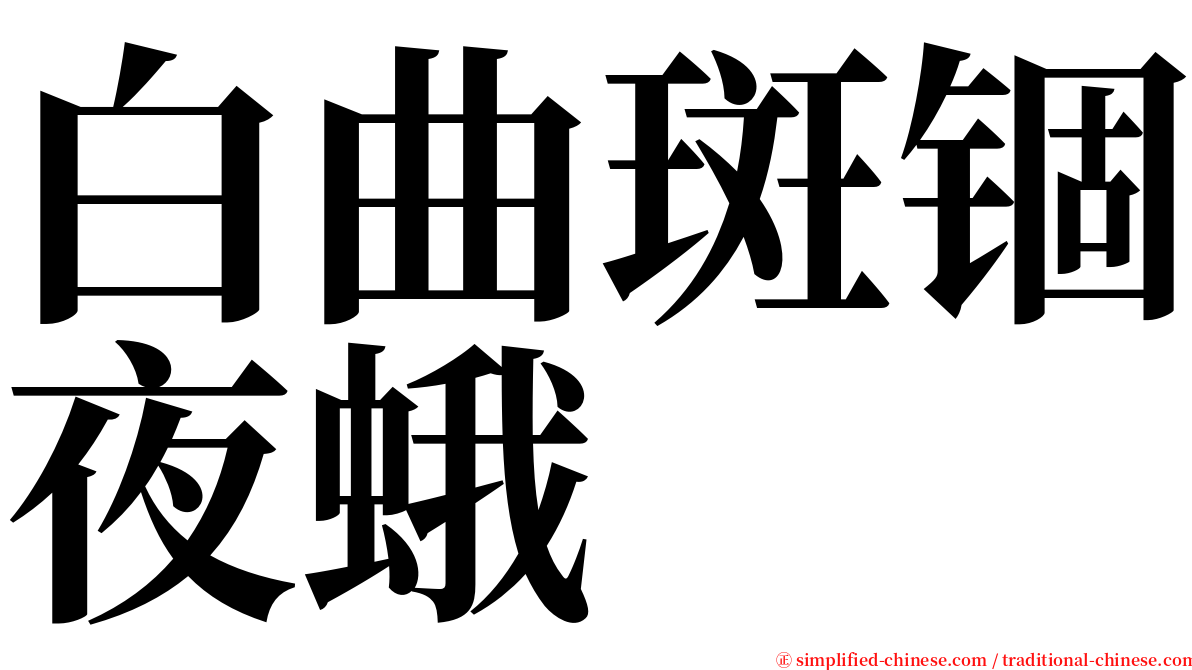 白曲斑锢夜蛾 serif font