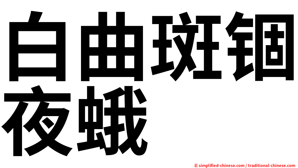 白曲斑锢夜蛾