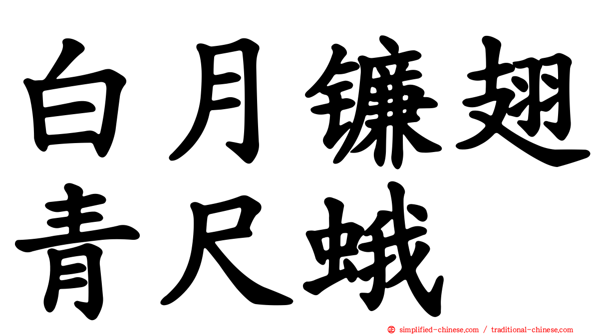 白月镰翅青尺蛾