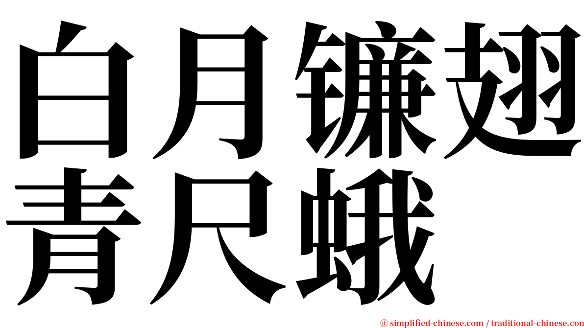 白月镰翅青尺蛾 serif font