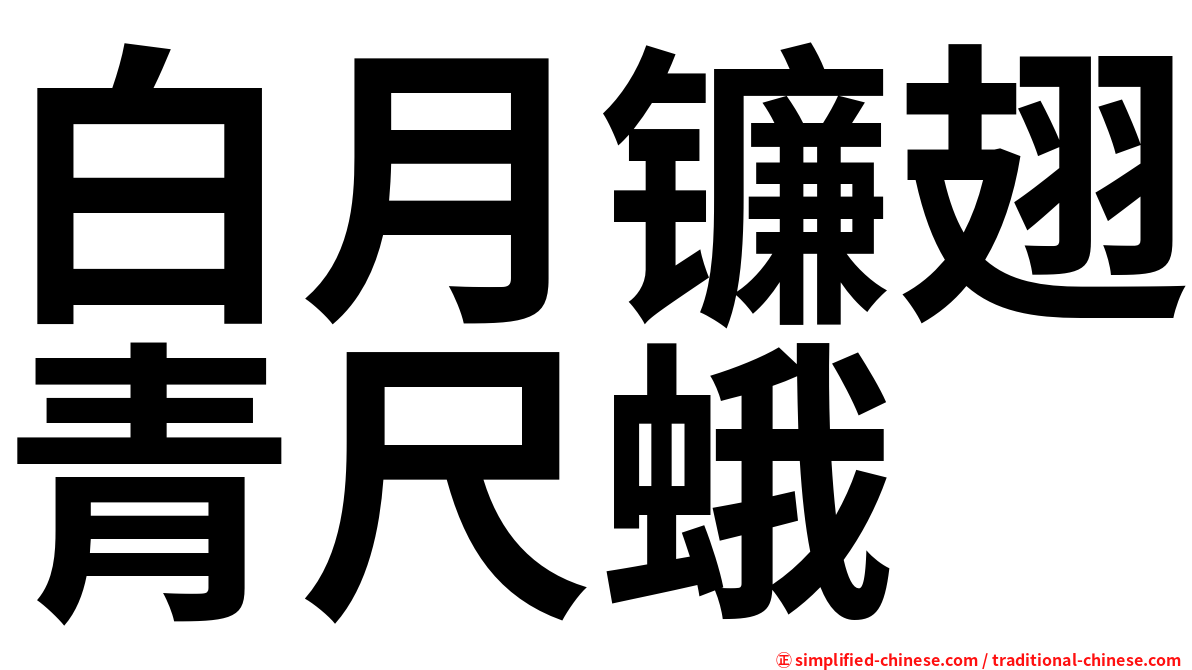 白月镰翅青尺蛾