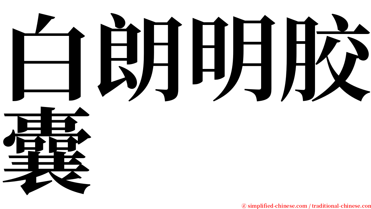 白朗明胶囊 serif font