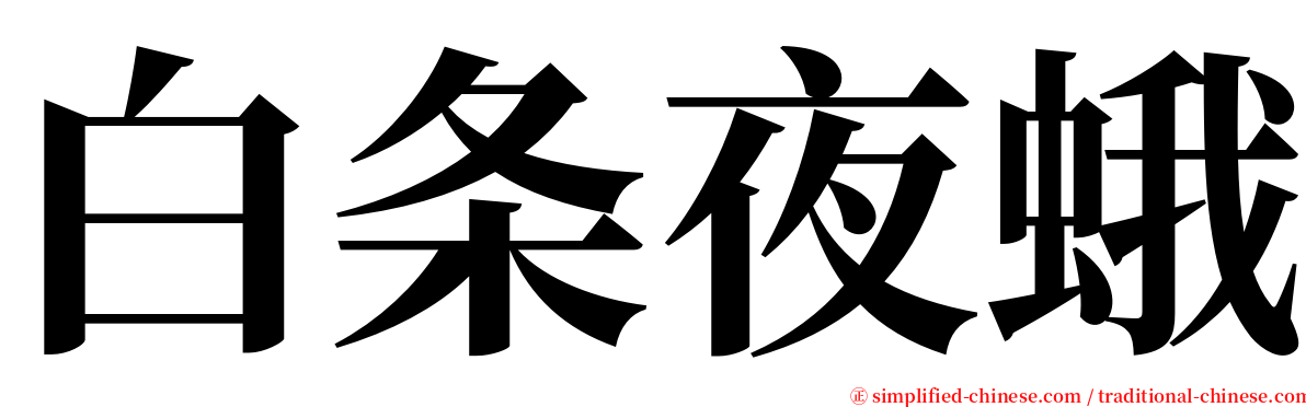 白条夜蛾 serif font