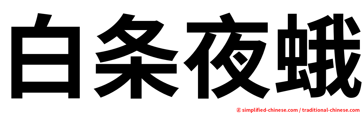 白条夜蛾