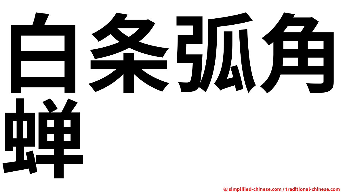 白条弧角蝉