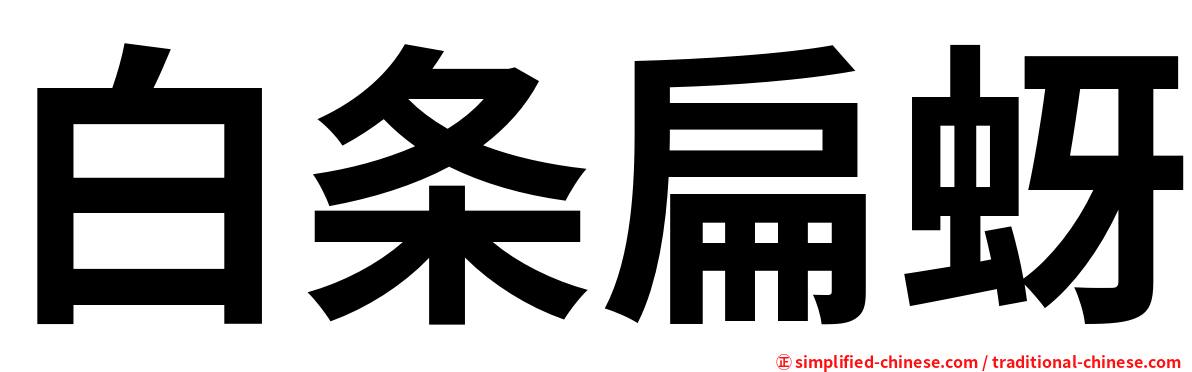 白条扁蚜