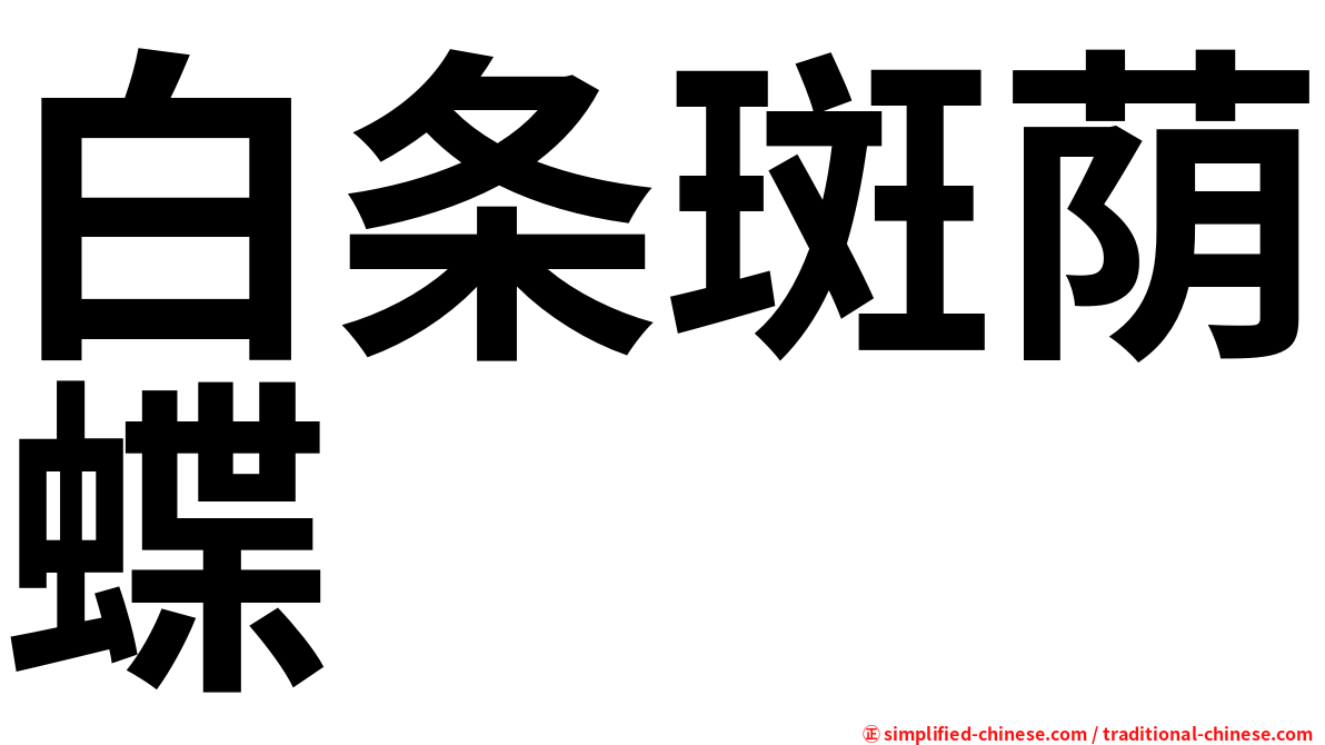 白条斑荫蝶