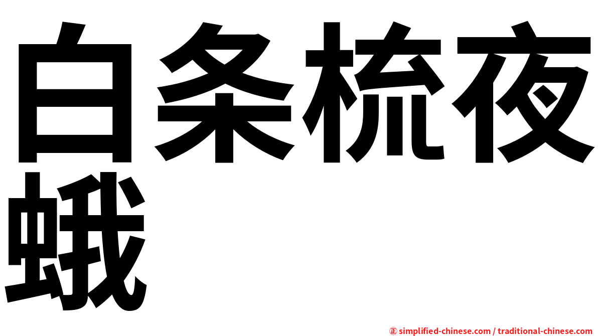 白条梳夜蛾