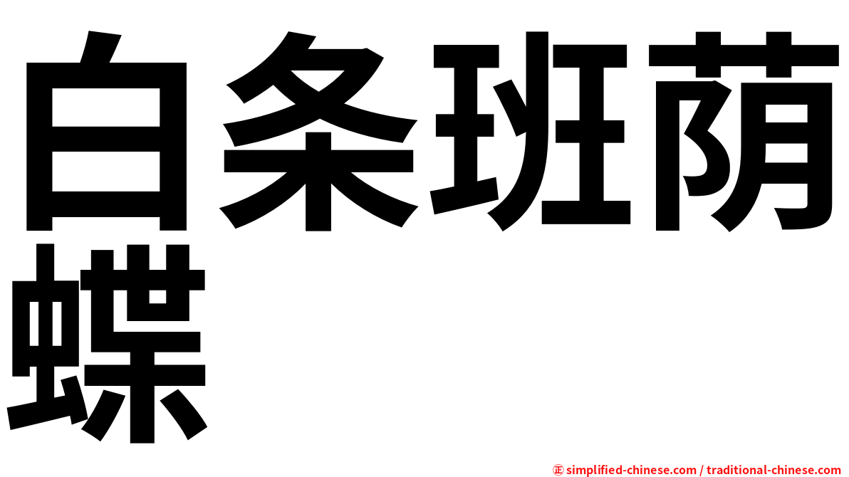 白条班荫蝶