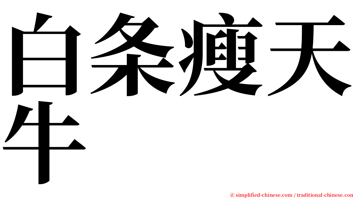 白条瘦天牛 serif font