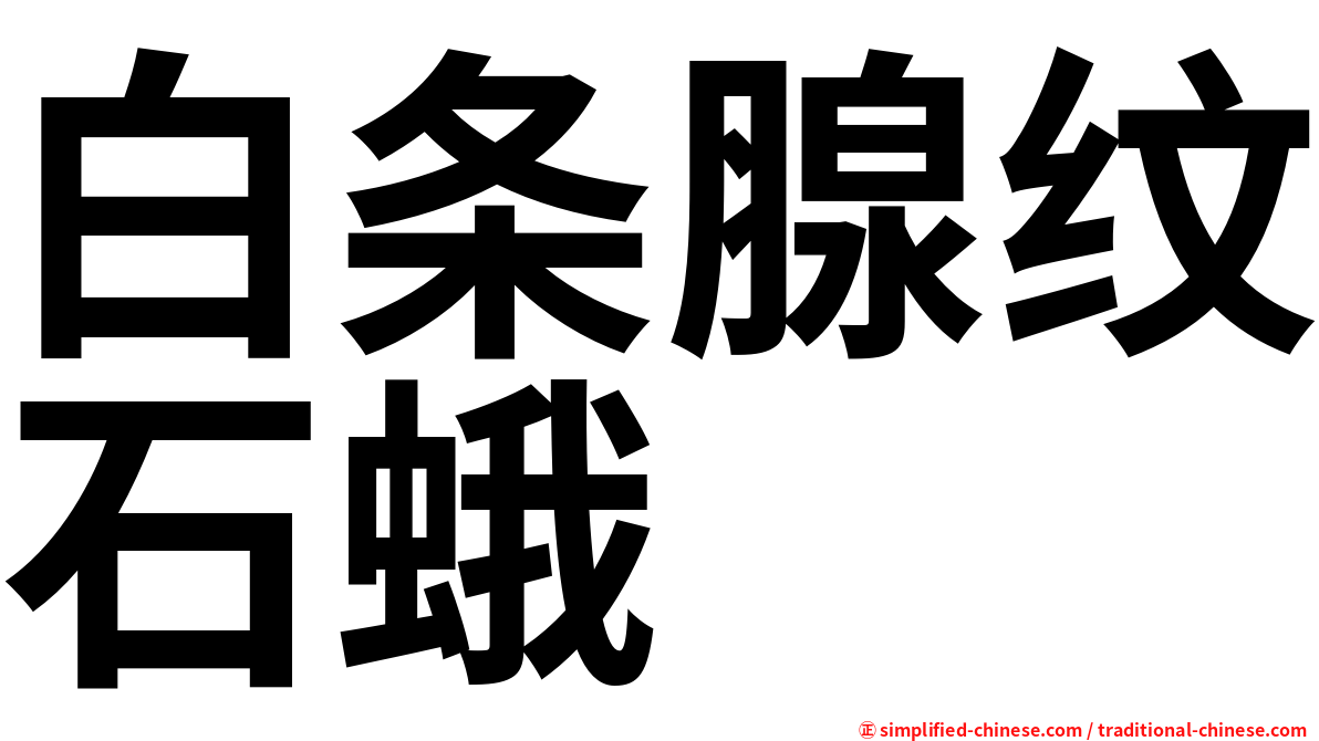 白条腺纹石蛾