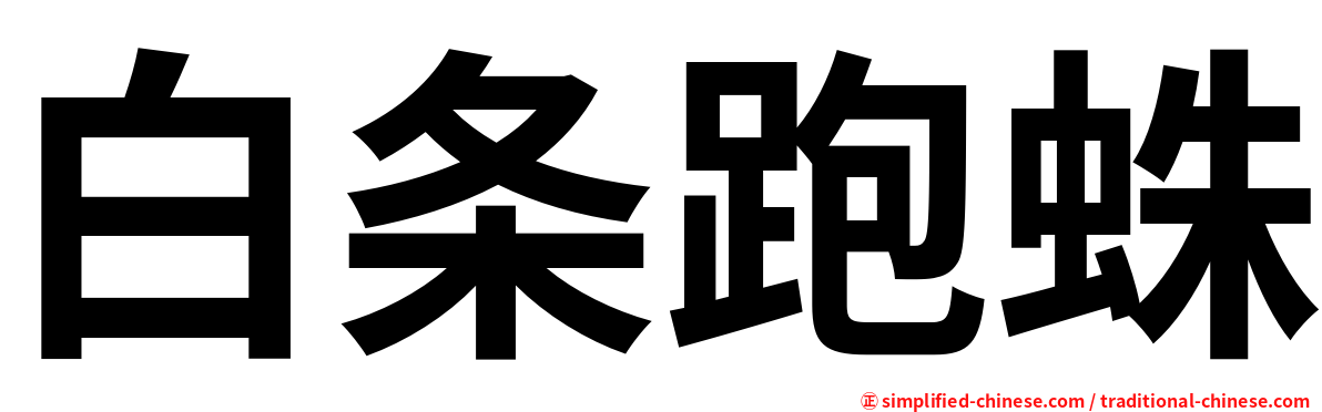 白条跑蛛