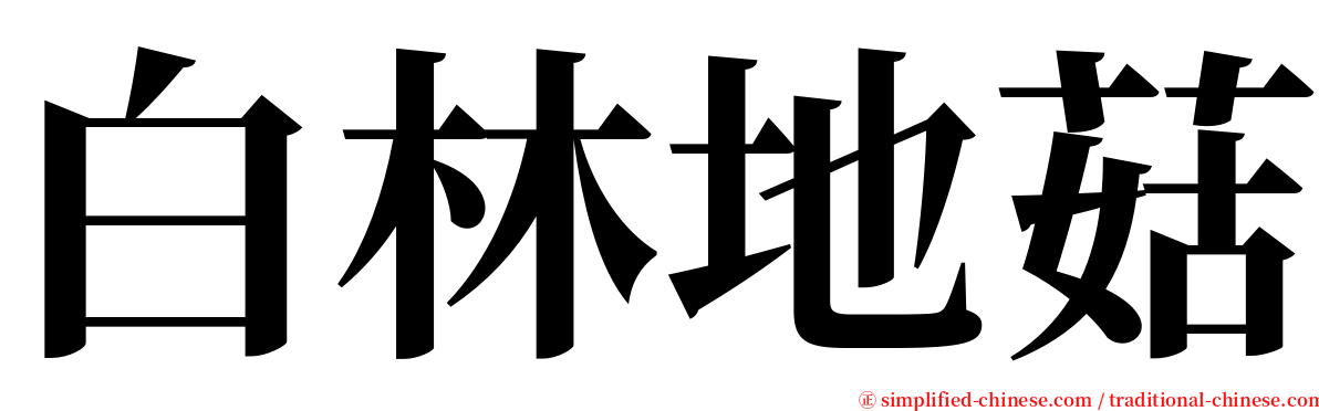 白林地菇 serif font