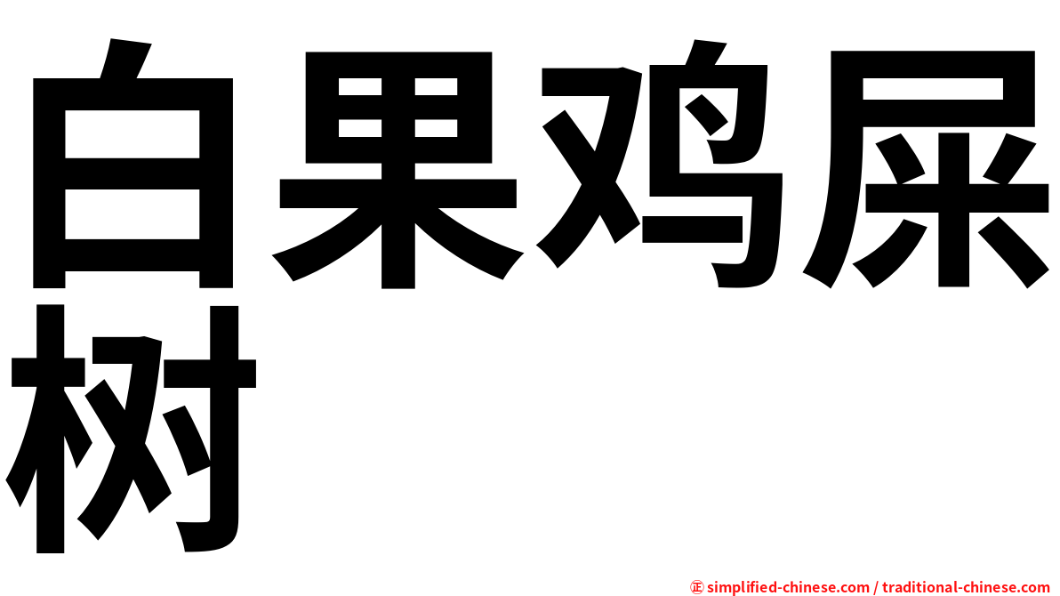 白果鸡屎树