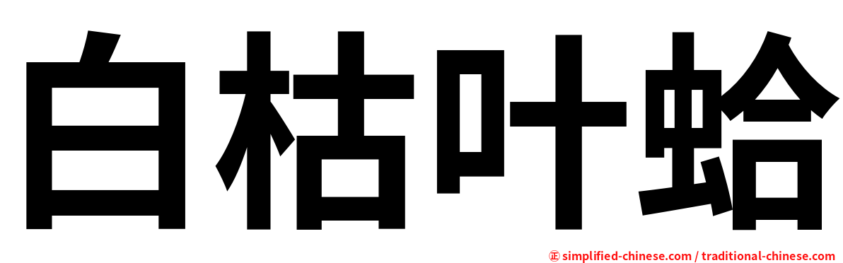 白枯叶蛤