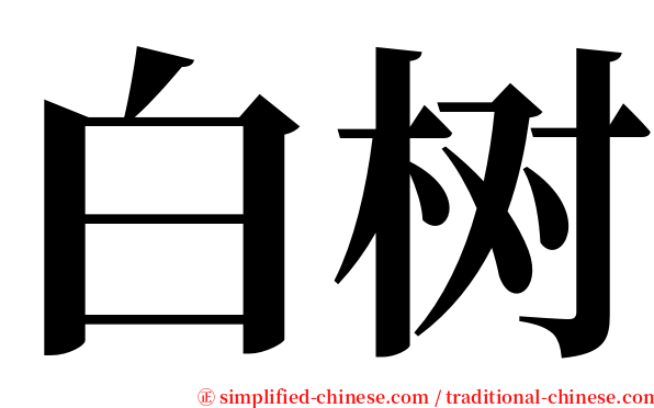 白树 serif font