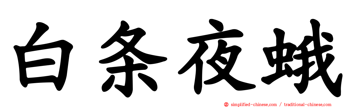 白条夜蛾